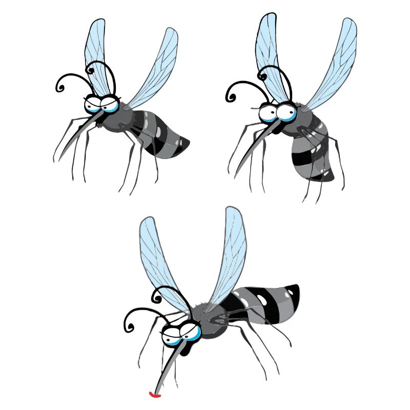 mosqui 20