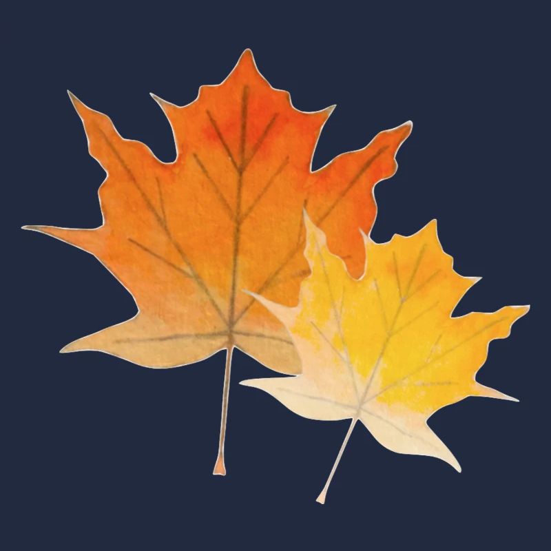 Maple leaves