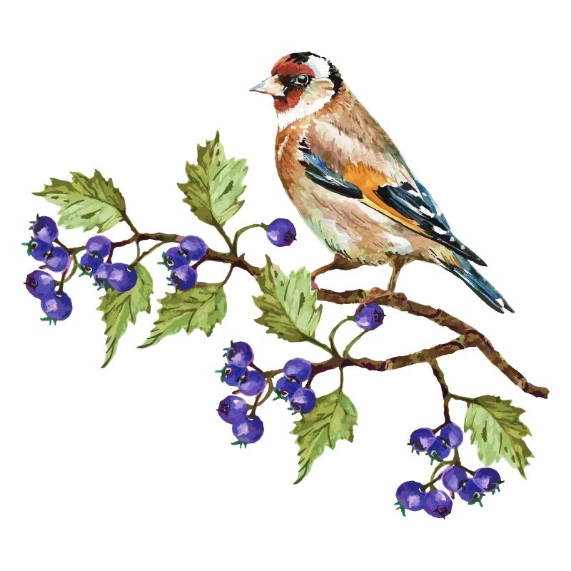 Bunter Vogel