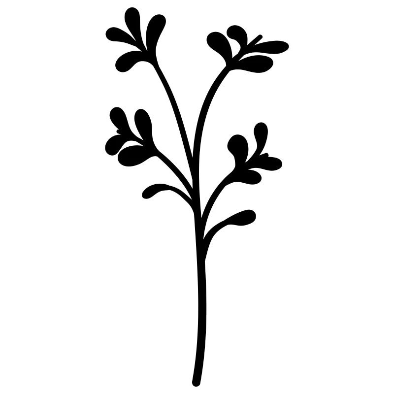 fleur sauvage simple