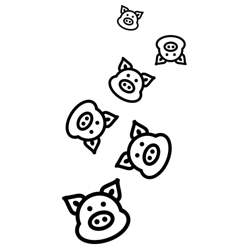Schwein Tier