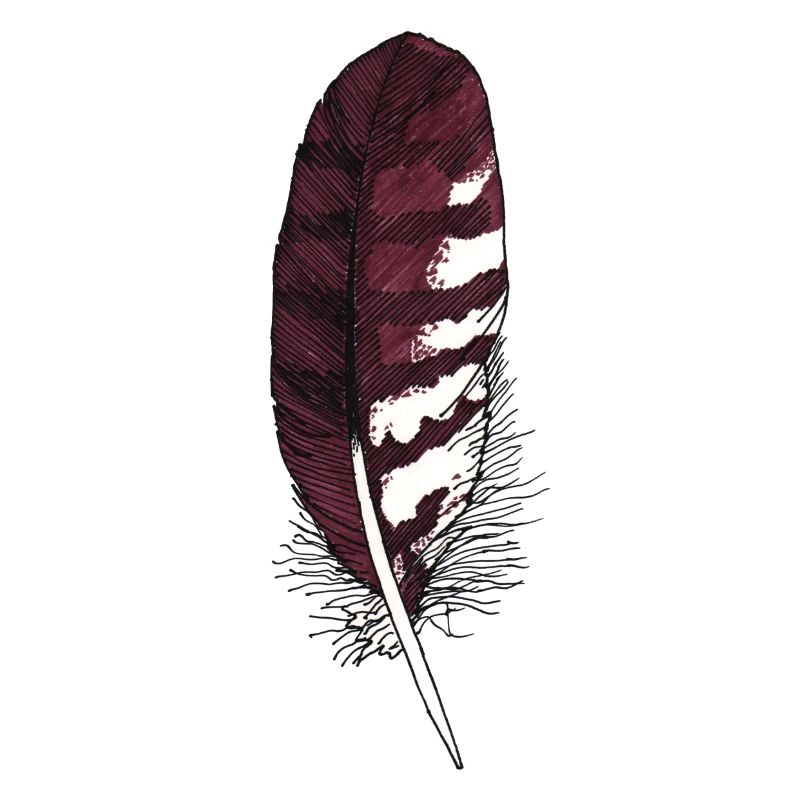 Petite plume marron dessinée à la main (buse)
