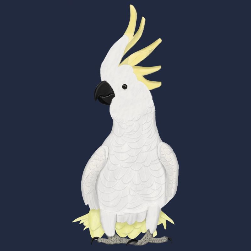 Cacatoès, ornithologue, biologiste, ornithologue