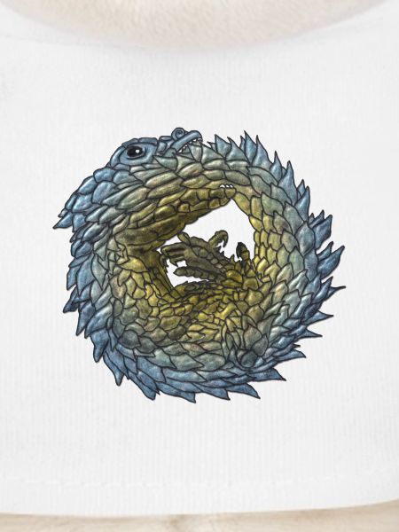 Armadillo Lizzard