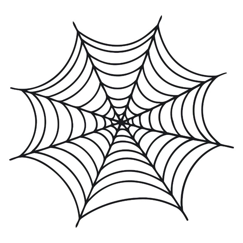 Black Minimalist Spider Web