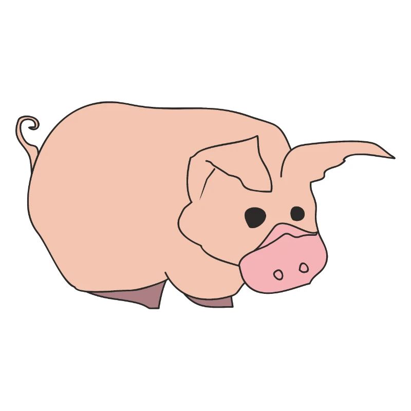 Funny Pig