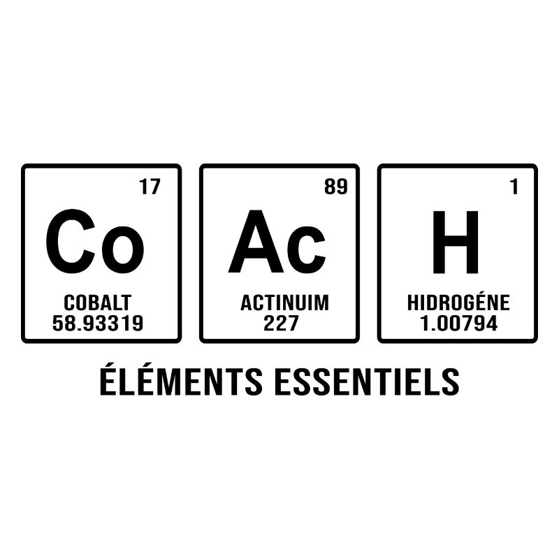 Coach Essential elements Trainer Sports coach