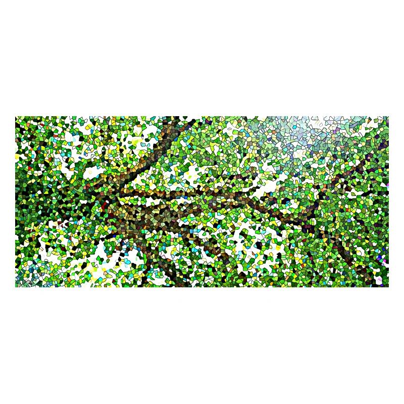 Les branches gracieuses d'un arbre