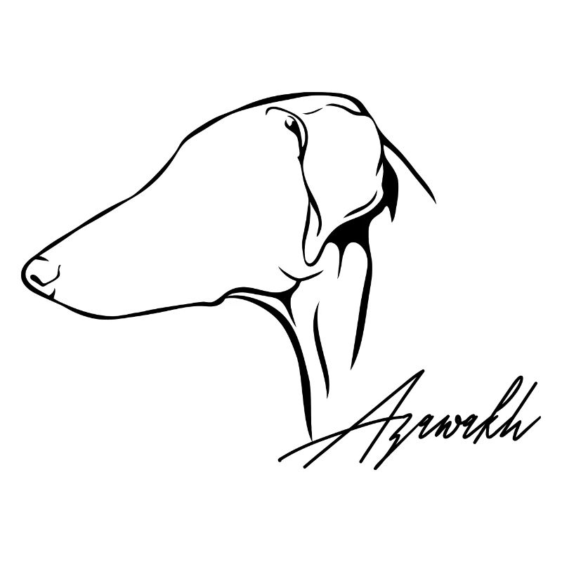 AZAWAKH Profil Hunde Hund Wilsigns Windhunde