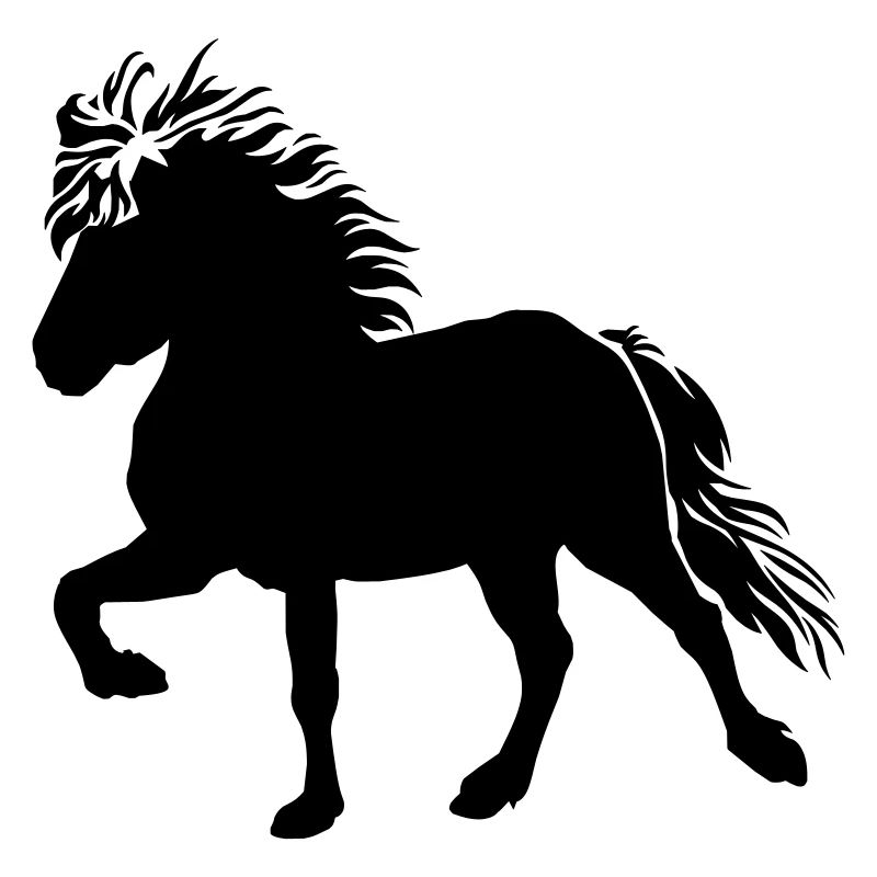 Süßes Islandpferd Tölt 5, Isländer, Islandpony