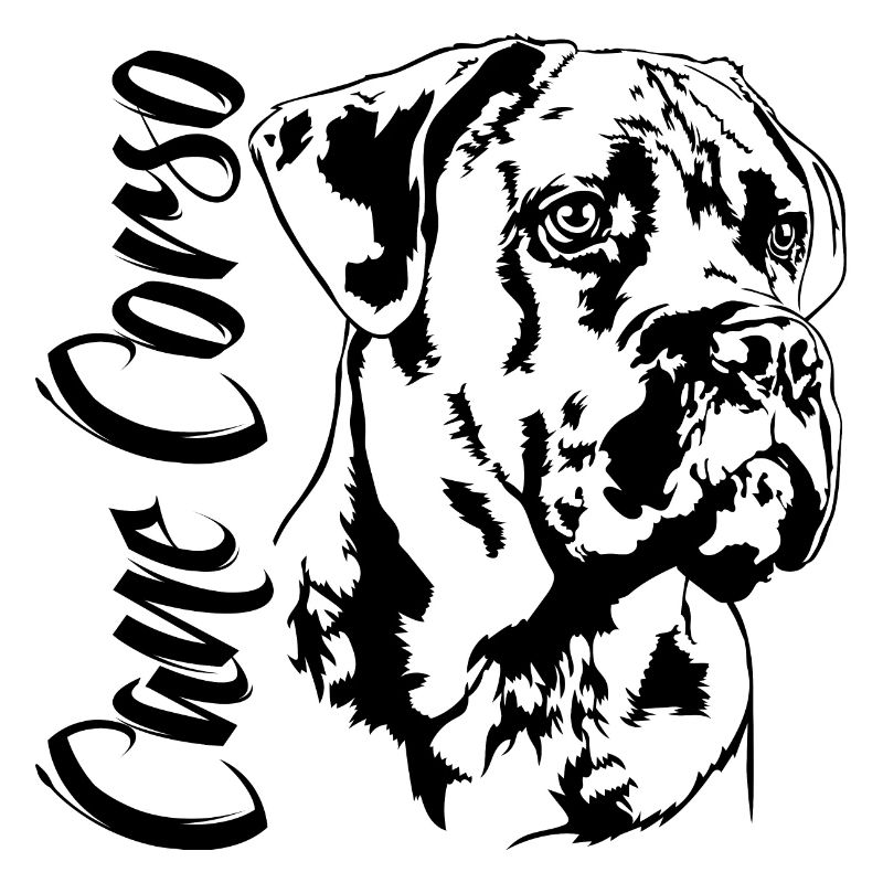 CANE CORSO Portrait Chiens Chiens