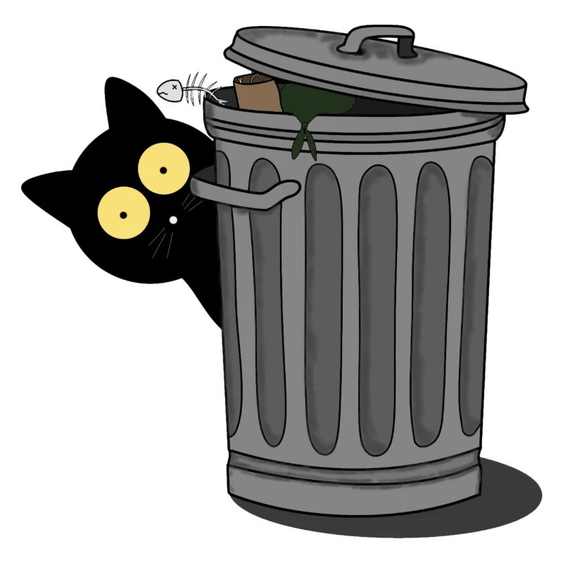 Chat noir observé