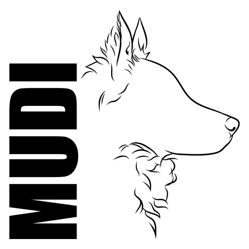 Mudi Profil Hunde Hund Wilsigns