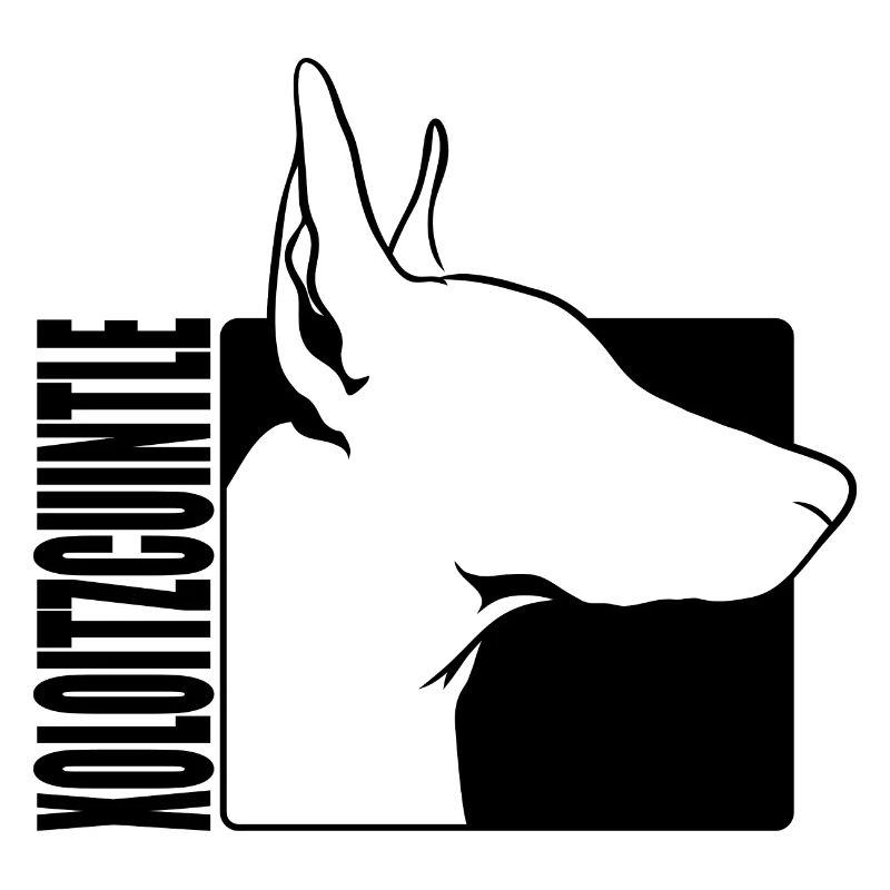 Xoloitzcuintle Profil Chien Chiens Wilsigns