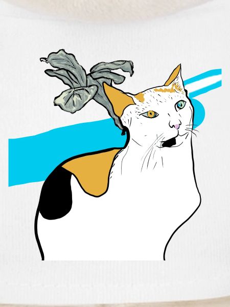 chat assis
