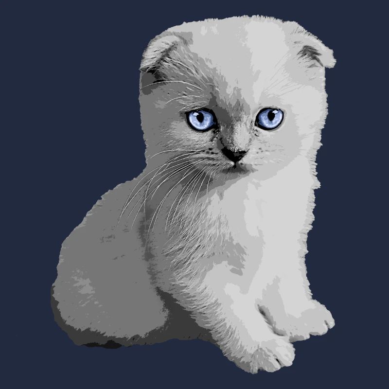 Chaton mignon Kitty