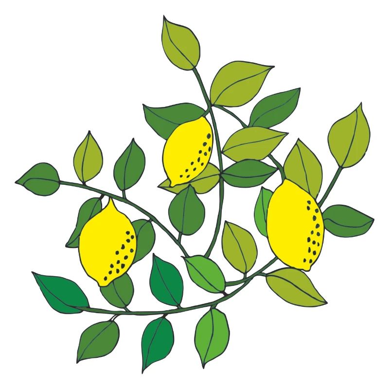 zitronen baum