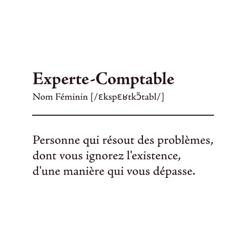 Experte Comptable Definition