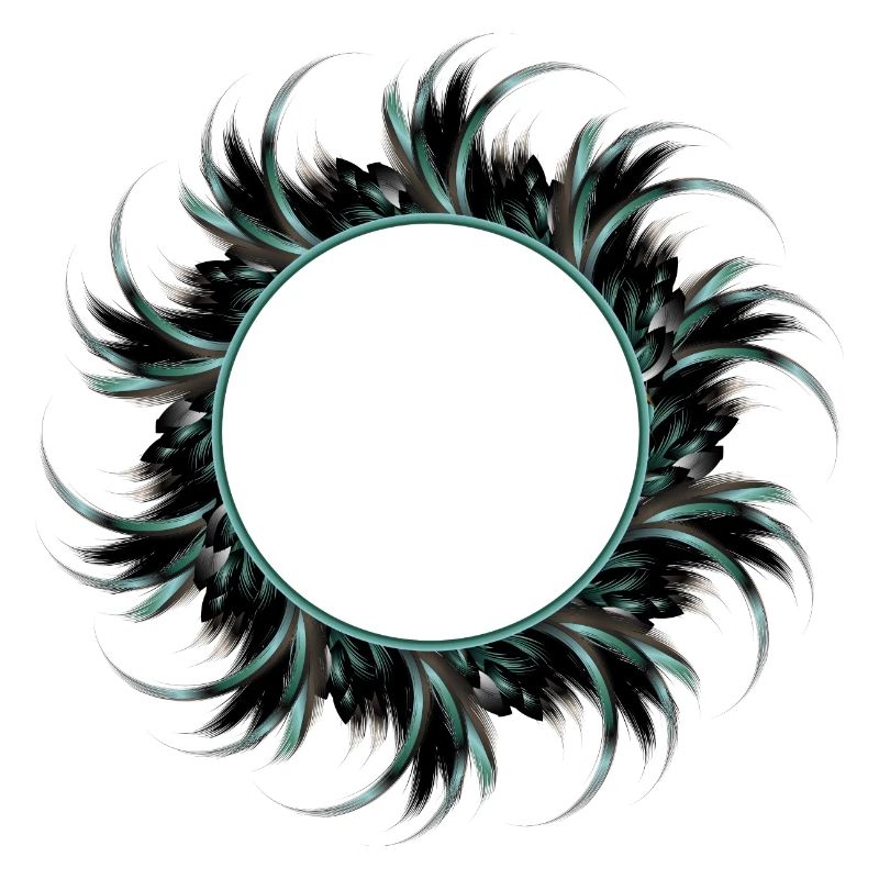 round frame made of drawn feathers