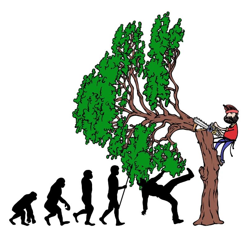 Baum Evolution Holz Holzfäller Baumfäller Wald