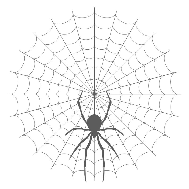 Spider Web Silhouette