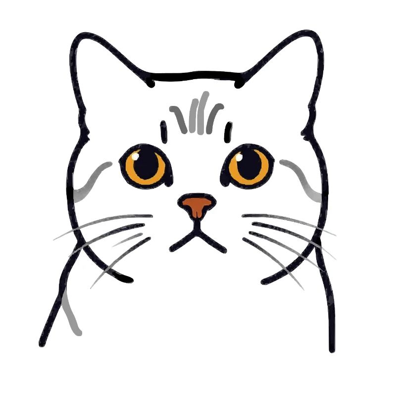 Teodoro le Chat - Tête de Chat