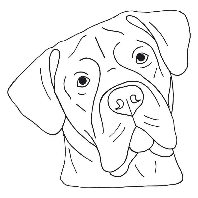 Cane Corso