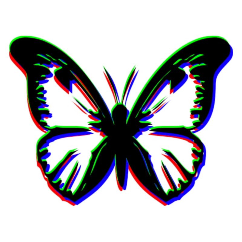 Papillon RVB