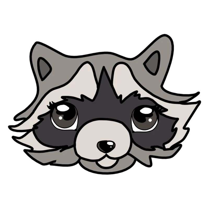 Raccoon head