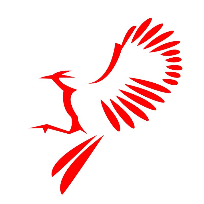 Illustration oiseau