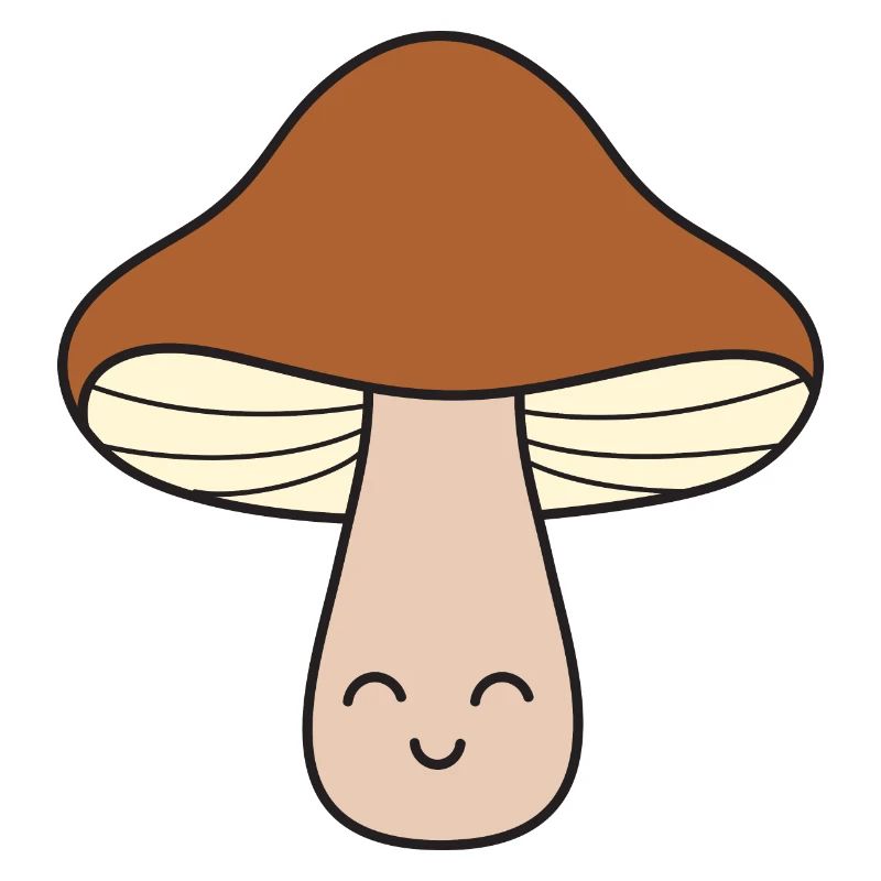 Champignons champignons