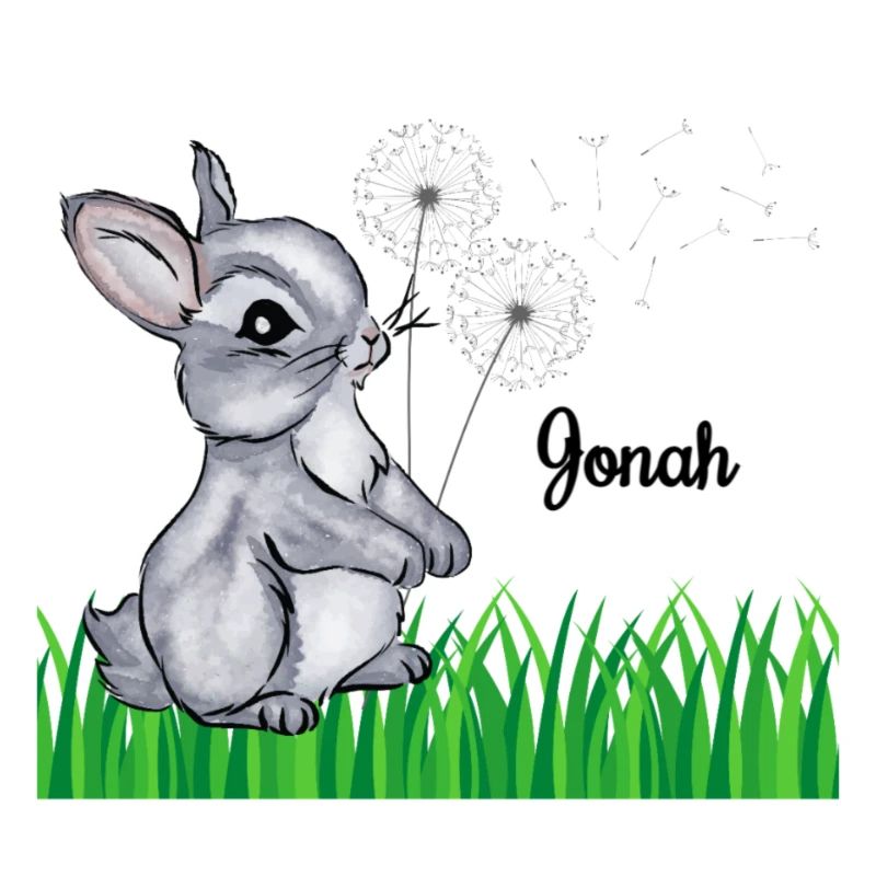 Rabbit Name Gift Jonah