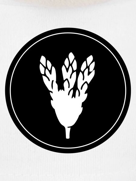 Asparagus Vegetables