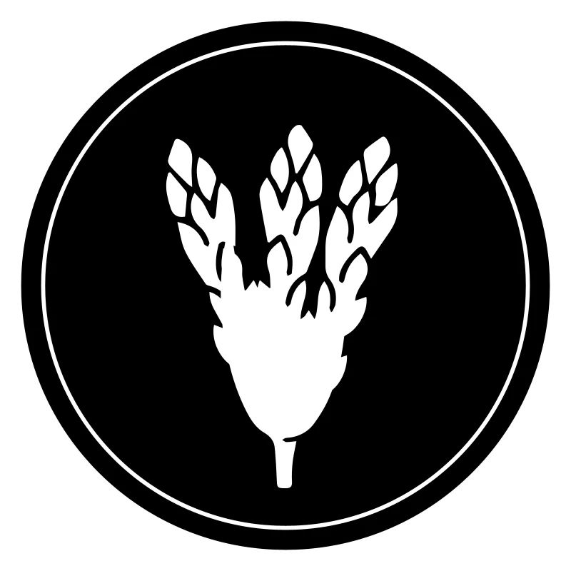 Asparagus Vegetables