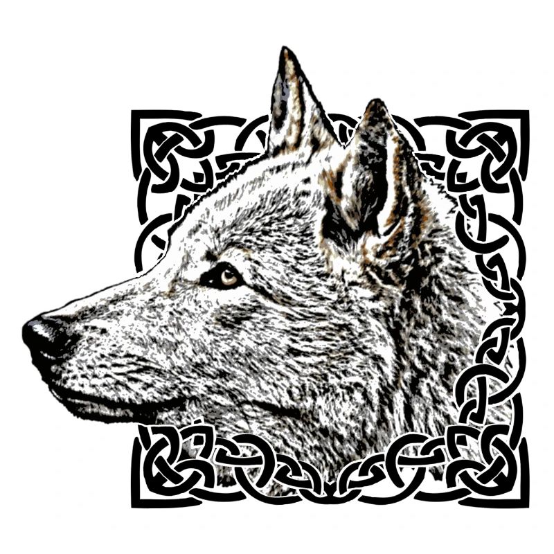 Loup gris