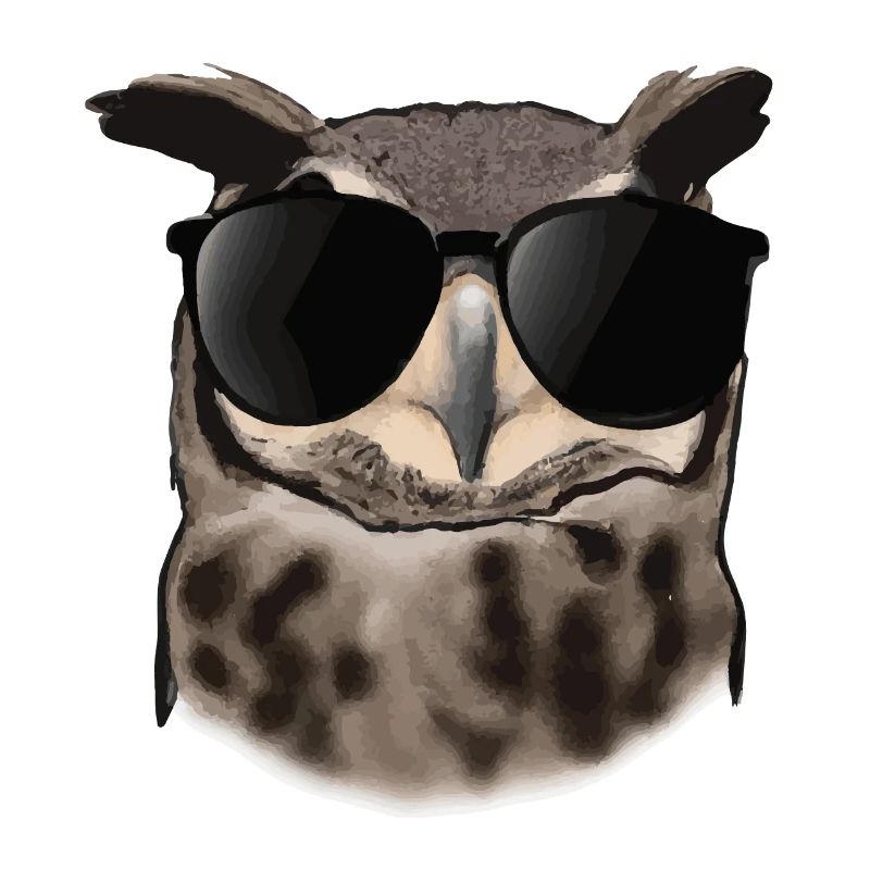 Eule mit Sonnenbrille Geschenkidee