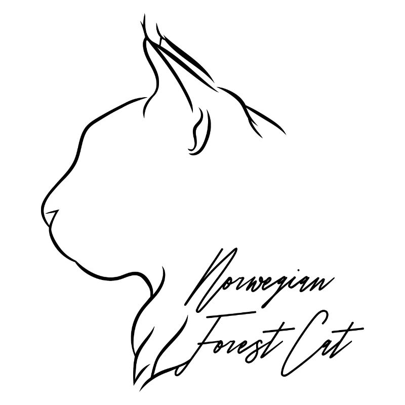 Norwegian Forest Cat Profil Katzen Katze Wilsigns