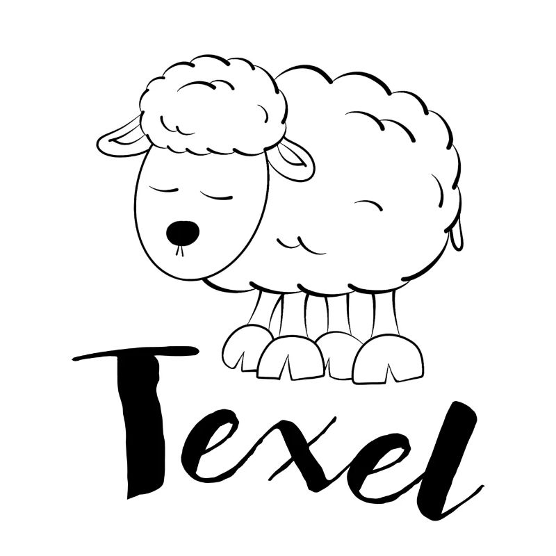 Texel Schaf
