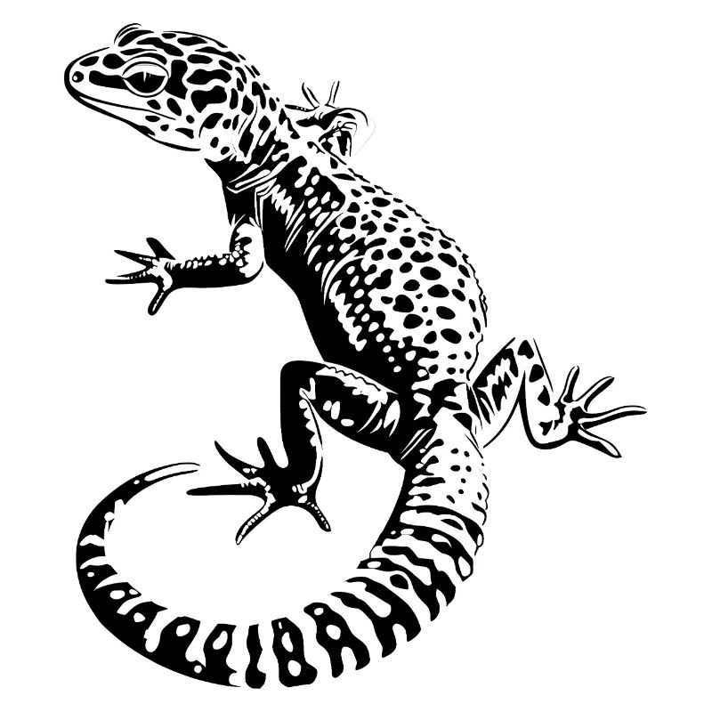 Leopardgecko