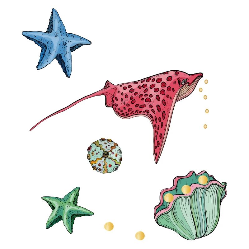 Étoile de mer dans la mer