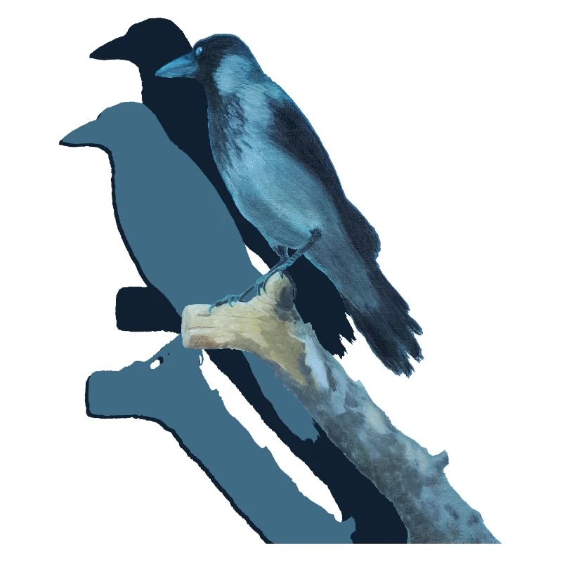 Crow's Luck