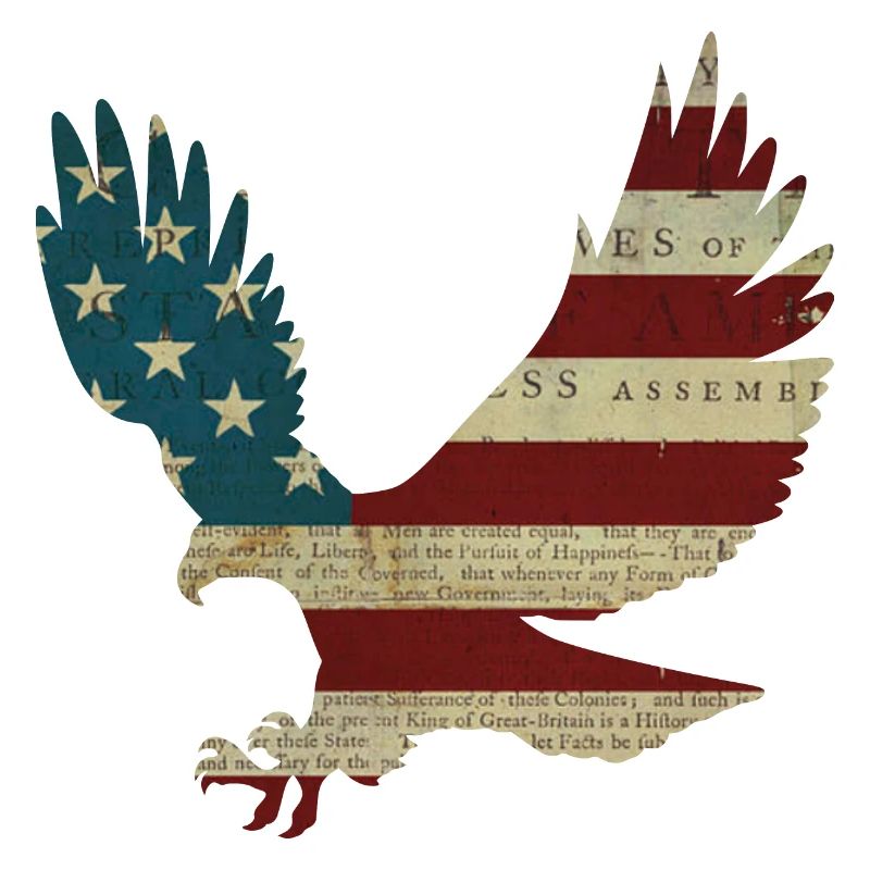 Bald Eagle America