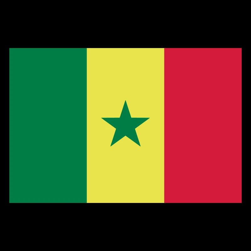 Drapeau Sénégal / Senegal flag