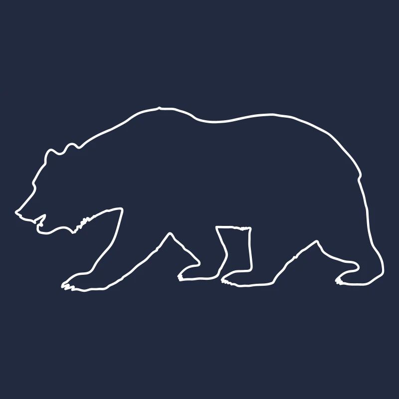 Bear Drawing