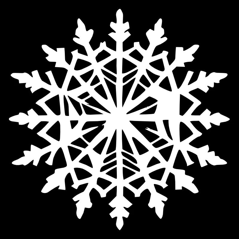 Flocon de neige Neige Hiver Noël Vecteur 8