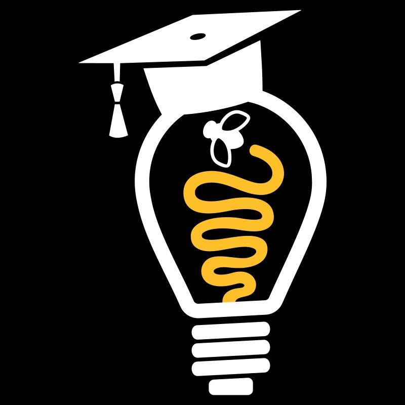 Light bulb mortarboard fly - graduation gift