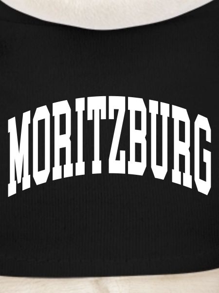 Moritzburg