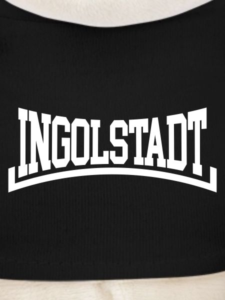 Ingolstadt