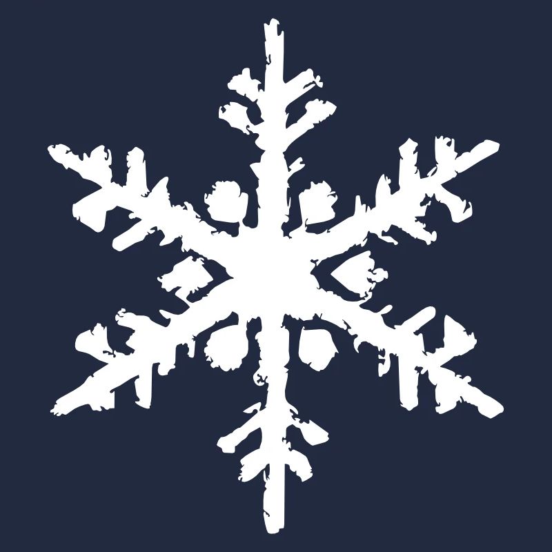 Snowflake Snow Winter Christmas Vector 13