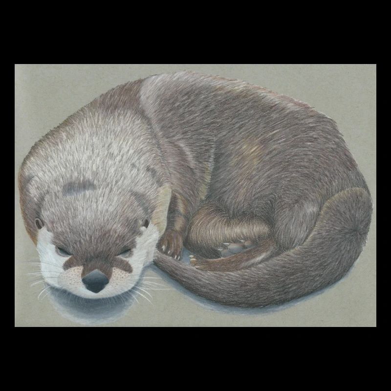 otter 12 03 2023